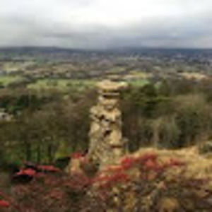 Meet your Posher, Noelle